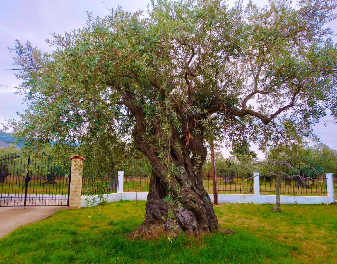 Villa Calypso Skala Rachoni  Luaran gambar